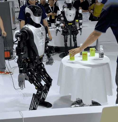 探索智能机器人的未来 世界机器人大会27款人形机器人惊艳亮相